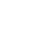 pws-logo-white